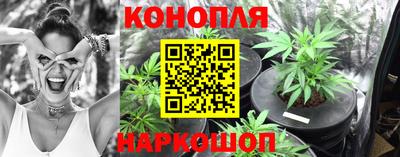 трава Пугачёв