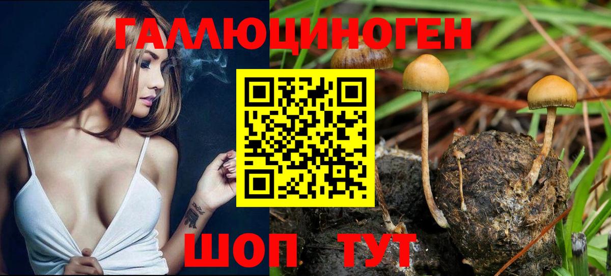 Галлюциногенные грибы GOLDEN TEACHER Советская Гавань
