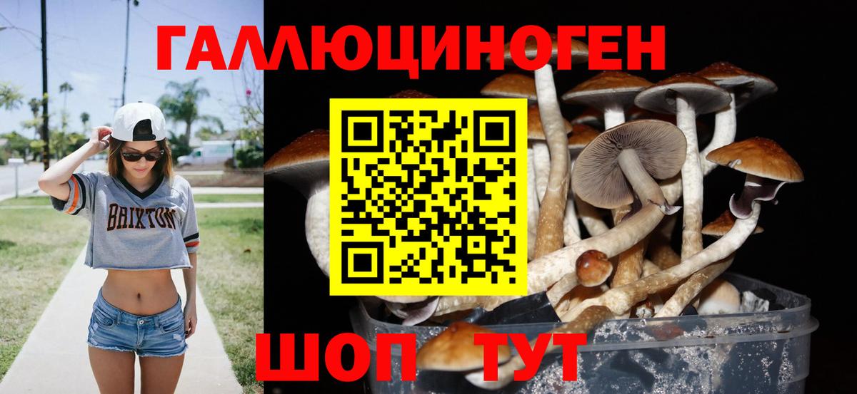 Галлюциногенные грибы прущие грибы  Вход с VPN  Советская Гавань 